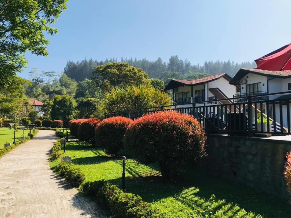 Okwin Resort Kandy Exterior photo